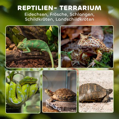 Terrarium en verre pour reptiles avec base surélevée étanche, fermeture à bouton-poussoir (1/4)