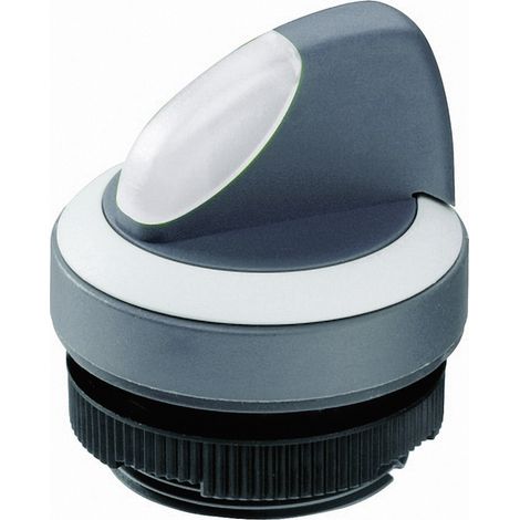 RAFI 1.30.272.102/2200 RAFIX 22 FS+ 1.30.272.102/2200 Wahltaste   Schwarz 1 x 90 °  1 St.