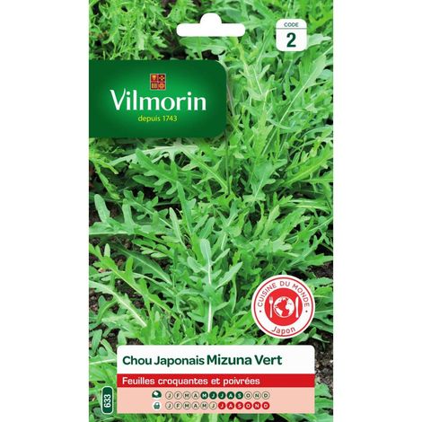 Sachet graines chou japonais mizuna vert
