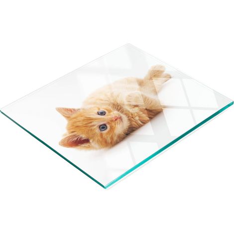 Pannello decorativo multifunzionale in vetro temperato con gatto rosso, 60x52 cm (1/5)