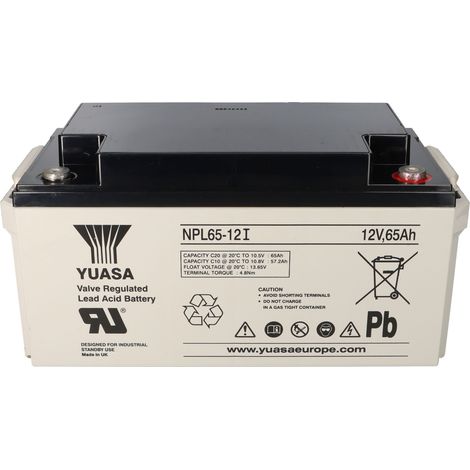 Yuasa NPL65-12I Longlife AGM-Bleiakku 12V 65Ah – M6-Innengewinde (1/5)
