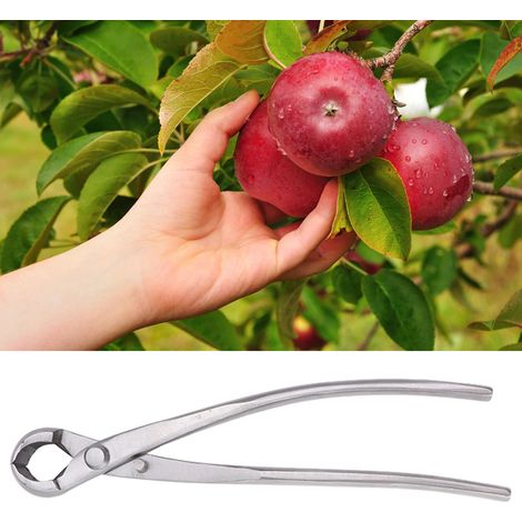 20 cm lange, kugelförmige Gartenschere aus Chromlegierung zum Beschneiden von Ästen und Formen von Bonsai, silberfarben (1/5)