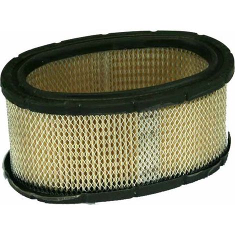 Filtro aria 11 HP verticale 252700, 253700 BRIGGS &amp STRATTON