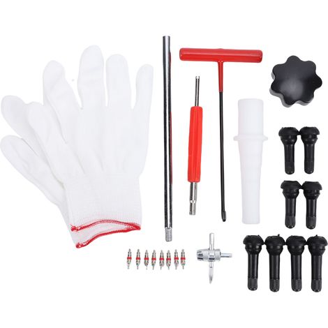 Kit Remplacement Valve Pneus 24pcs Acier Renforcé Compatible TR413 TR414 Outil Rapide Sans Démontage Jante 11,3mm (1/5)