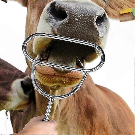Maulöffnungsinstrument für Rinder, Schafe und Schweine – Veterinär-Bewässerungs- und Dilatationsgeräte (1/5)