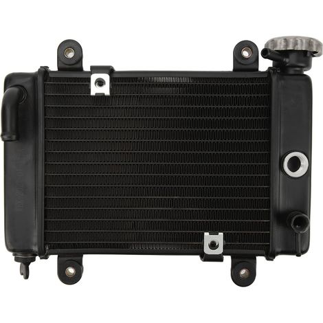 GARRYFIZH Radiateur refroidissement eau aluminium pour véhicule tout-terrain, ATV, tricycle, kart 150‑250CC