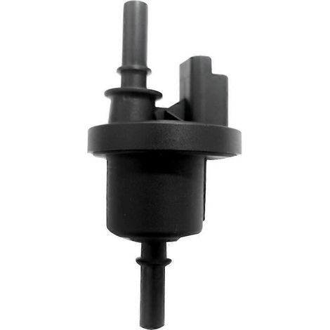 Électrovanne 6001543631 8200024427 8200248821 8200660852 pour Renault Megane MK II Scenic Twingo Modus/Grand (1/5)