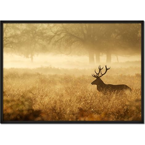Bild Poster im Rahmen 53x73 cm Goldener Hirsch P661 (1/4)
