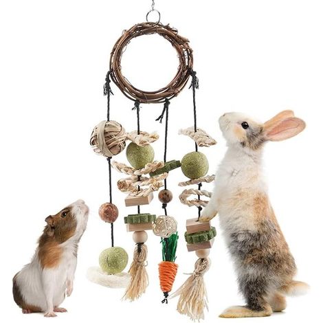 Jouets pour rongeurs - Balle d'herbe - Jouets d'éveil - Jouets suspendus - Jouets pour hamsters - Jouets pour cochons d'Inde - Friandises et jouets - Convient aux lapins, hamsters, cochons d'Inde, sou (1/5)