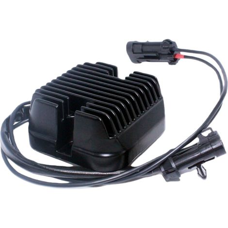 The large displacement rectifiers 4014300 and 4012718 are suitable for the Indian Chief Chieftain Road.--DTEKGAZ