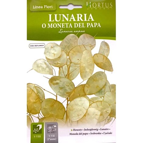 Lunaria o Moneta del Papa DB
