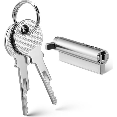 Serrure de porte réfrigérateur avec clé, conception antivol (1/5)