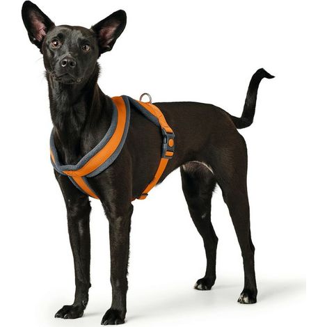 Arnés para Perro Hunter London Comfort 39-47 cm Naranja XS/S
