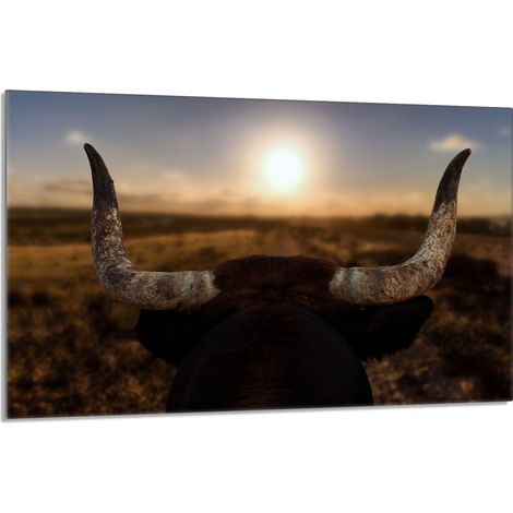 Glasschutzplatte für den Herd 80x52 Sun (1/5)