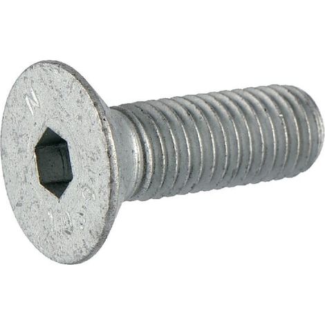 Tornillo avellanado M10x30-10,9 LEMKEN 3016123