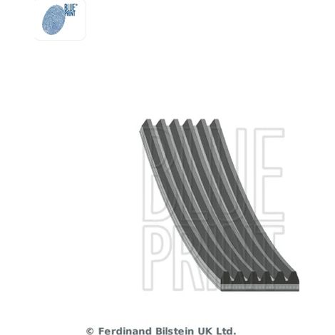 Courroie trapézoïdale à nervures Blue Print AD06R2330 AUDI 0053010150 40 291 95