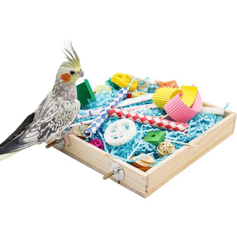 Plateau de recherche et d'activités pour oiseaux avec jouets à picorer et à détruire (1/5)