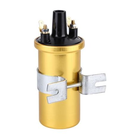 Bobine d'allumage de 12v, norme de haute performance de bobine d'allumage de ballast non pour la bobine d'allumage de sports de 12v DLB105 (1/5)