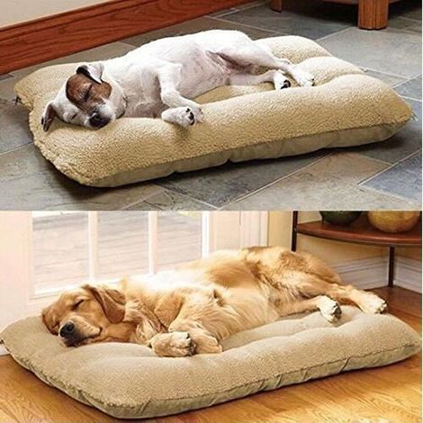 Lit pour Chien - Non spécifié - 75x50cm - Beige - Lavable - Confortable