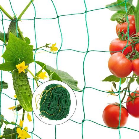 Filet à Plantes Grimpantes, Filet de Treillis Jardin de Support Plante, Filet à Ramer Jardin Potager pour Récolte de Concombres Légume Tomates Plantes Grimpantes (2 x 5 m) (1/5)
