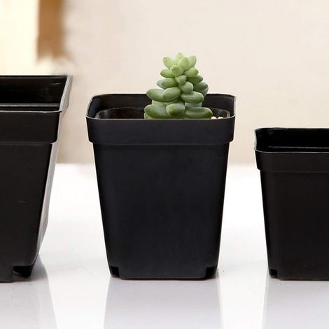 Lot de 50 Pots de Fleurs carrés en Plastique (1/5)