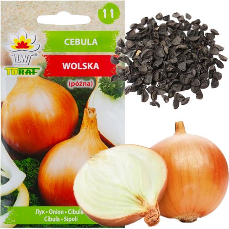 W0050 Cipolla Wolska, semi di cipolla, varietà a maturazione tardiva, resistente al 5G (1/5)