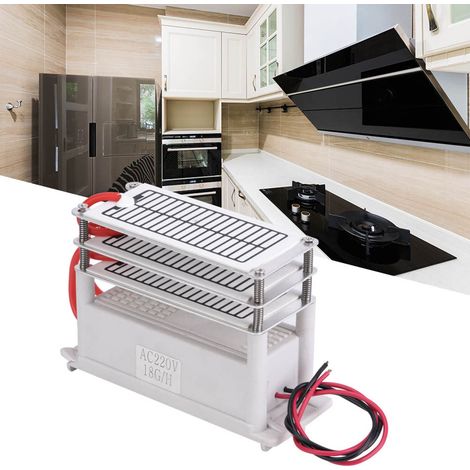 Integrierter Ozongenerator für den Haushalt, Keramikplattenreinigung, Geruchsneutralisierung, Ozongenerator 18g, 220 V (1/5)