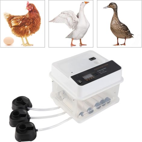 Automatischer Brutkasten mit LED-Beleuchtung und dualer Stromversorgung – für Hühnerbrüter – Weiß, Kunststoff, 22 cm – EU 220 V – 10 Stück (1/5)