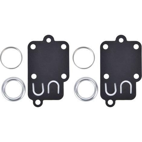 Lot de 2 membranes pour moteur Briggs & Stratton 5021K, kit de réparation carburateur (1/5)