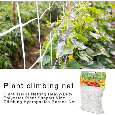 Filet de support pour plantes grimpantes, treillis en nylon résistant, accessoire de culture et jardinage(3.3410m) (1/4)