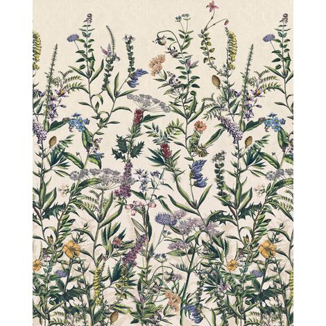 papier peint panoramique les plantes multicolore  - Komar (1/3)