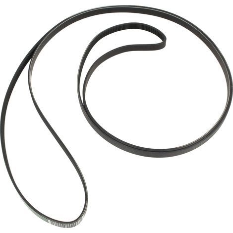 Cinghia 1965h6, 481235818186, 57x0259 per asciugatrice bosch