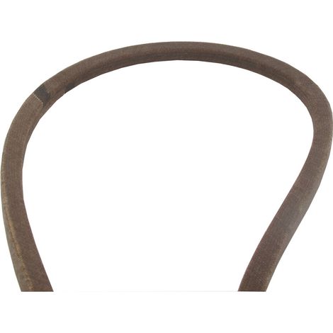 Cinghia AYP 138255