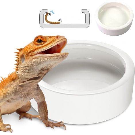 Gamelle en céramique pour Reptile – vers de Farine et Plat de Cricket pour Gecko, Dragon Barbu et caméléon – Mangeoire Anti-évasion XL (12,7 cm) (1/5)