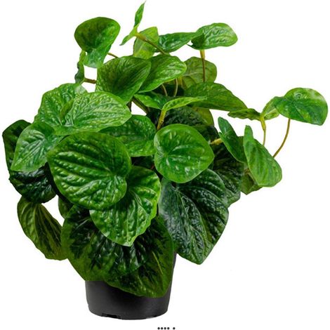Peperomia plante verte factice en pot H25cm D25cm Feuilles vert dense (1/3)