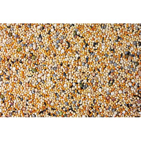 JR FARM - Germogli per parrocchetti e altri piccoli pappagalli 1 kg (1/3)