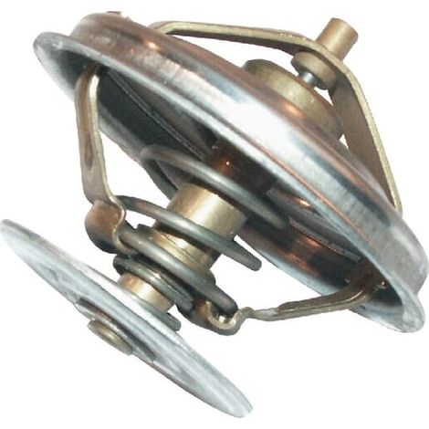 Thermostat ZETOR 89005904 (1/2)