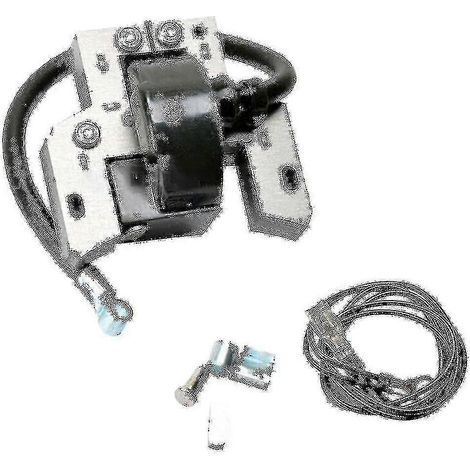 Bobine d'allumage pour Briggs & Stratton 591420 398593 496914 793281 792395 Modèle B (1/4)