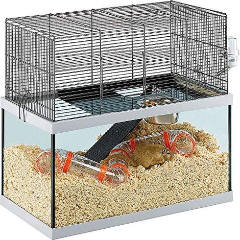 Ferplast GABRY 60 Gabbia per roditori FERPLAST GABRY 60: Adatta a Gerbilli, Criceti,  design italiano, accessori inclusi. . Variante GABRY 60 - Misure: 60 x 31.5 x h 52 cm - (1/3)