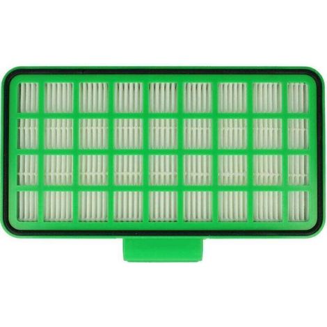 Filtre compatible avec Rowenta Silent Force Extreme Cyclonic RO8213EA/410, RO8213EA/411 aspirateur - Filtre HEPA (1/5)