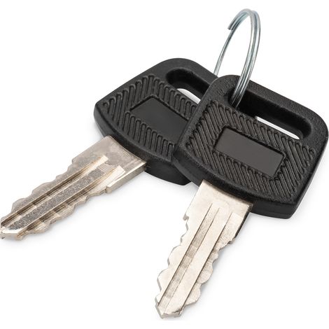 Llave Digitus dn-key-wm 2 piezas compatible Dynamic SOHO (1/3)
