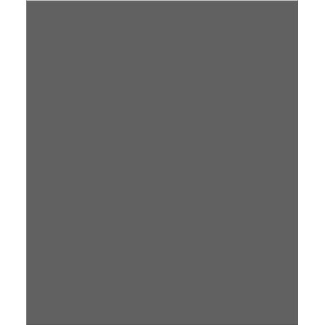 Tapis voiture graphite pour : Audi A6 C5 4,2L berline, break, avant (1997-2004)