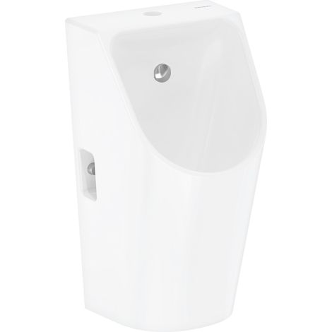 hansgrohe EluPura Original S urinario, entrada superior, sin (1/5)