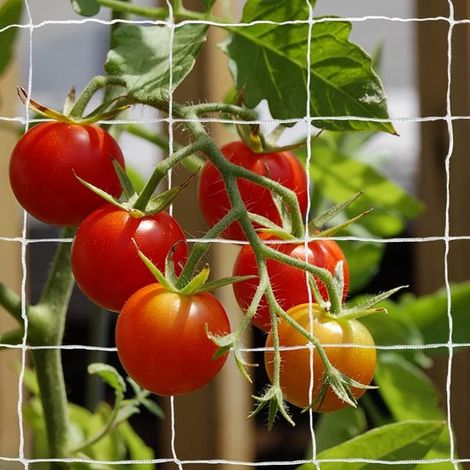 Kletterpflanzennetz Ranknetz für den Garten Stütznetz für Kletterpflanzen Gartennetz für Gemüse und Kletterpflanzen Kletternetz für Gurken, Tomat (1/5)