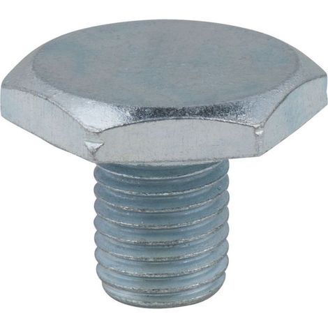 Vis de vidange, 6 pans 21mm, M10x1,25x13mm, pack de 25