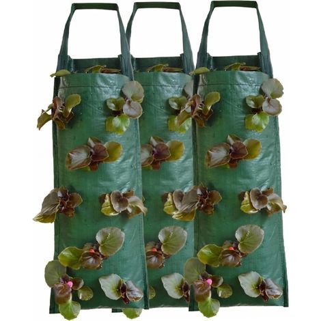Jardinière suspendue pour fraisiers, lot de 3, inversée tomates, sacs culture suspendus (1/5)