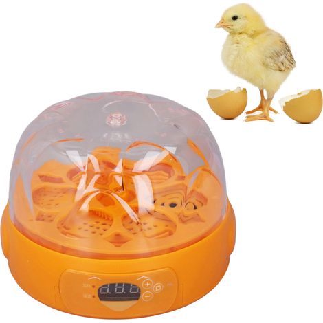 Incubateur à œufs automatique compact 15 W pour la maison, incubateur intelligent pour enfants, 6 œufs pour poules, canards et cailles, jaune, 100-240 V, norme européenne (1/5)