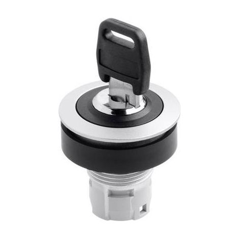 Schlegel RRJSSA18 RONTRON RRJSSA18 Interruttore a chiave Metallo, Nero 1 x 90 ° 1 pz. (1/2)