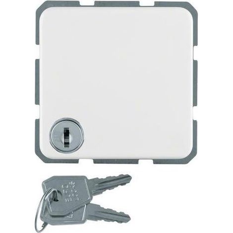 Berker Steckdose WG UP polarweiß mit Z 476309 (1/5)