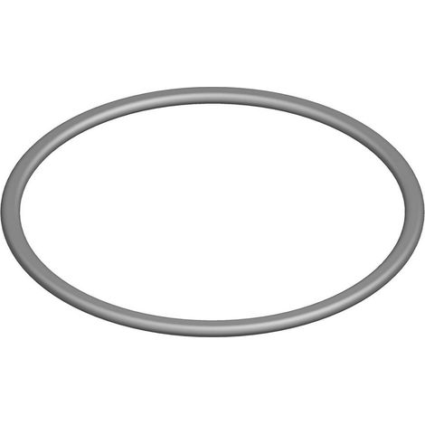 BOSCH O-Ring (10x), 87002051200